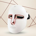 Redvexa™ LED Facial Beauty Mask